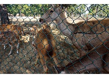 Dalma Wildlife Sanctuary