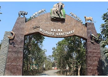 Dalma Wildlife Sanctuary