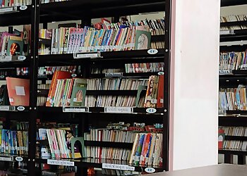 Dantopantt Thengadi Pustakalaya