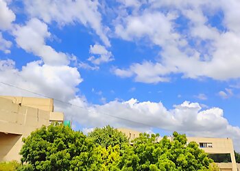 Delhi Technological University