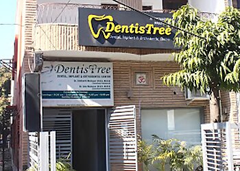 Chandigarh Dental Clinics DentisTree image 1