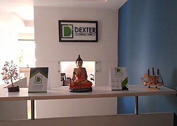 Dexter Consultancy