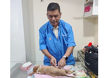 Disha's Pet Care and Cure Centre