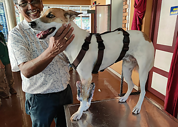 District Veterinary Center Kannur