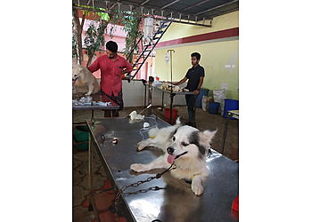 District Veterinary Hospital Kozhikode