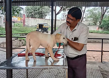 District Veterinary Polyclinic, Solapur