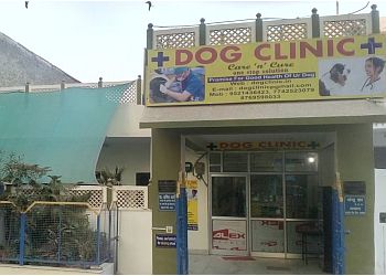 3 Best Veterinary Hospitals in Jaipur, RJ - ThreeBestRated