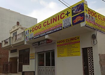 Dog Clinic