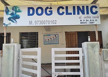 Dog clinic