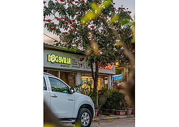 Dogsvilla Pet Services