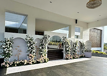 Dolphin Events and Wedding Planner