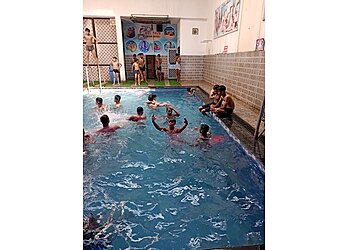 Dolphin Swimming Pool