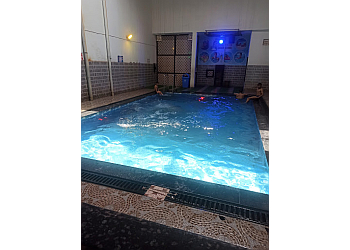 Dolphin Swimming Pool