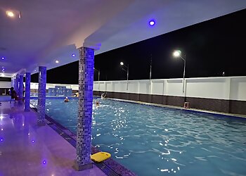 Dolphin Swimming Pool