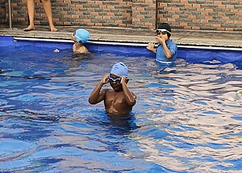 Dolphin Swimming Pool