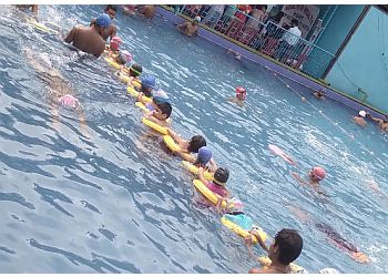 Dolphin Swimming and Training Centre