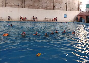 Dolphin Swimming pool & Indoor Sports