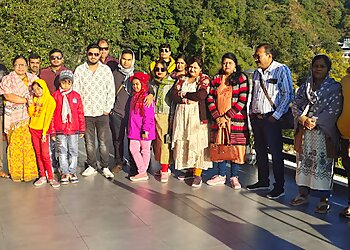 Dolphin Tour & Travels