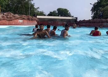 Dolphin Water Park
