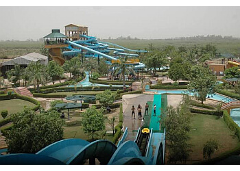 Dolphin Water Park