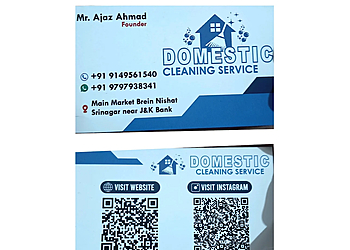Domestic Cleaning Service