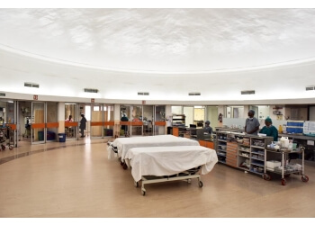 Dr. Akash Panigrahi MBBS, MD, DM, MRCP SCE