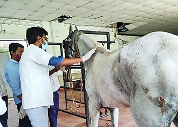 Dr. Aman Kr Pet Clinic