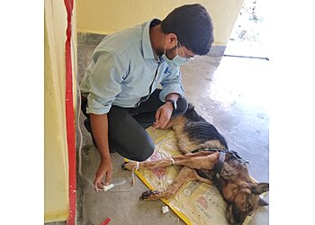 Ranchi Veterinary Hospitals Dr. Aman Kr Pet Clinic image 1