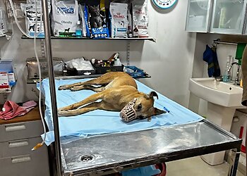 Dr Ameet’s Animal Clinic of Chhatrapati Sambhajinagar