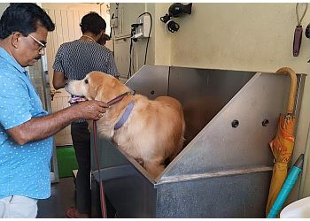 Dr. Anil Patil Dogs Clinic