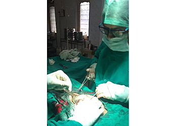 Dr. Anjana Sharma, MBBS, DGO - JEEVAN REKHA HOSPITAL