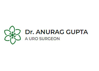 Dr. Anurag Gupta, MBBS, MS, M.Ch