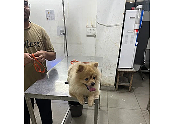 Dr Bhatti's Dog and Cat Clinic