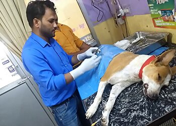 Dr.Chaturvedi's Dog & Cat Polyclinic