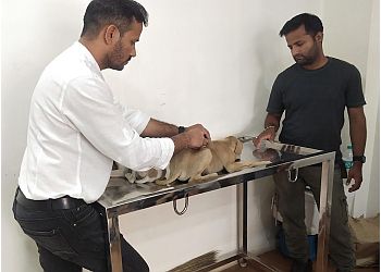 Dr. Dev Pet Hospital