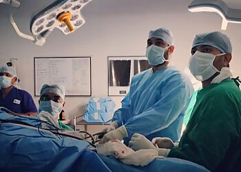 Dr. Dibya Singha, MBBS, MS