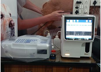 Dr. Gadara's pet clinic