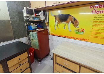 Dr Gautam Pet Point Dog Clinic