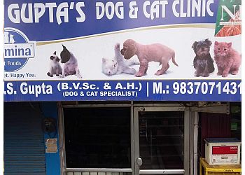 Dr. Gupta's Dog & Cat Clinic