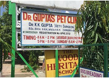 Dr Gupta's Pet Clinic