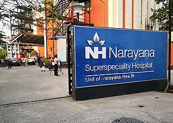 Dr. Ipsita Ghosh, MBBS, MD, DM - NARAYANA SUPERSPECIALITY HOSPITAL, HOWRAH