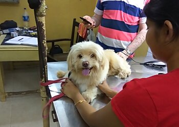 Dr. Kaustav Basu Vet