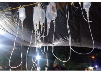 Dr Lowrance L J Veterinary Hospital