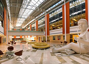 Dr. Manoj K Goel MBBS, MD, FCCP, DIP, FIAB, FISDA, FICM, FISM