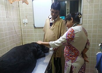 Dr.Nilima's Veterinary Clinic