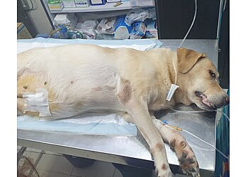 Dr.Nilima's Veterinary Clinic