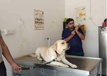 Dr. Ninad Yagnik - Paws & Claws Veterinary Clinic