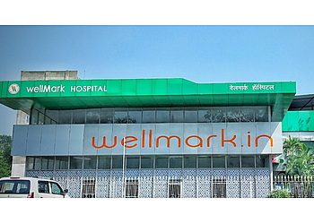 Dr. R. N. Pradhan - WELLMARK HOSPITAL