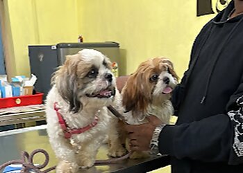 Dr. Ramesh’s Pet Care Centre