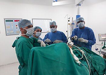 Dr. Ruchi Rai Ahuja, MBBS, MD, Ph.D, FICOG - AHUJA CLINIC